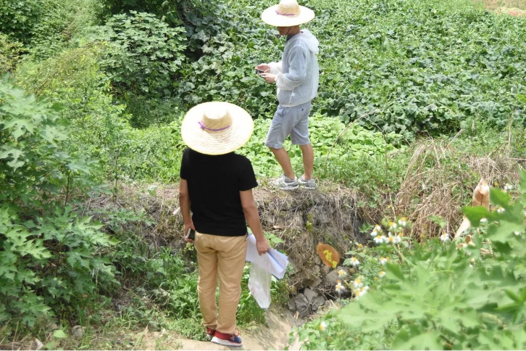 5b7f8160e74fd.jpg 3.jpg